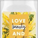 Love Beauty and Planet Energizing Desodorante roll-on para el cuidado de las axilas, aceite de coco y flor de ylang ylang sin aluminio, 1 unidad (50 ml)